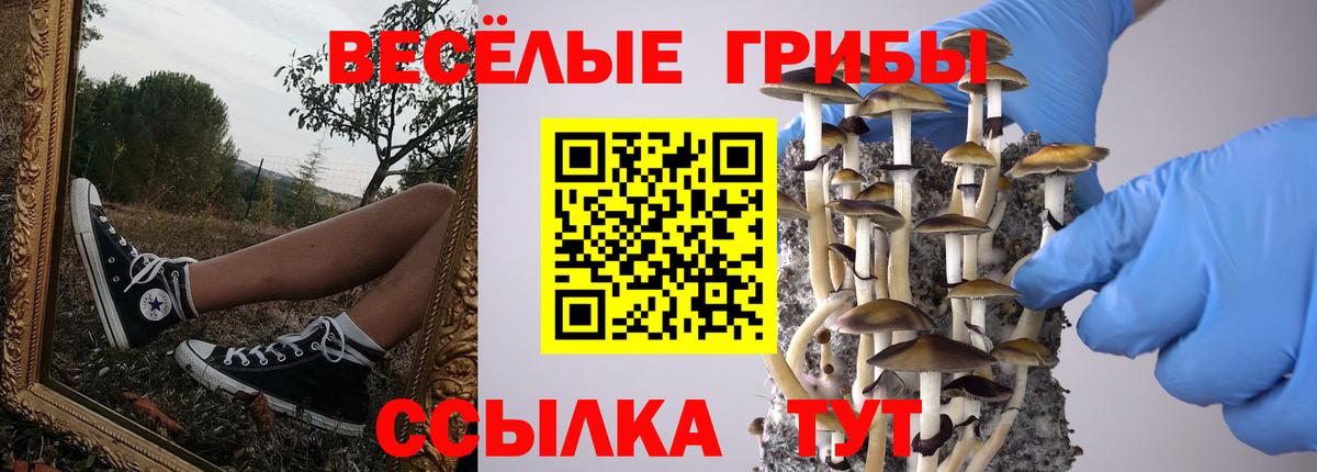 Псилоцибиновые грибы прущие грибы  Вход с VPN  Галлюциногенные грибы прущие грибы  Тулун 